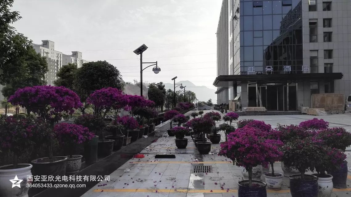 ��������Ƶ��Ŀ